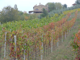 Azienda Agricola Muratori