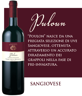 Sangiovese Rubicone